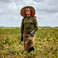 José Delgado is 75 and still waking up at 5:30 a.m. six days a week to labor in the fields in Florida City.Credit...Scott McIntyre for The New York Times